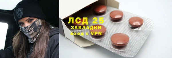 молекула духа Богородицк