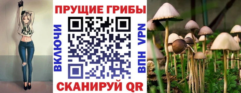 Псилоцибиновые грибы ЛСД  цена наркотик  мориарти официальный сайт  Мосальск 